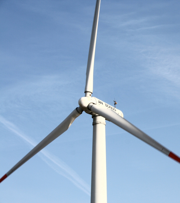 Foto: http://www.flickr.com/photos/dharion/